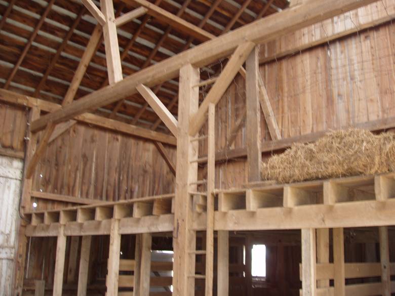Camp Barn Interior / Sawn Pine Timbers